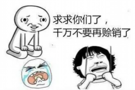 辉县专业讨债公司有哪些核心服务？