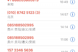 辉县为什么选择专业追讨公司来处理您的债务纠纷？